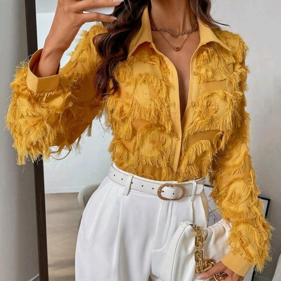 Clasic Women Casual Tasseled Front Button Long Sleeve Shirt, Elegant Blouse - Picture 5 of 6